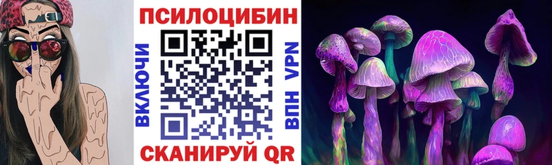 Псилоцибиновые грибы Psilocybe  закладки  Грозный 