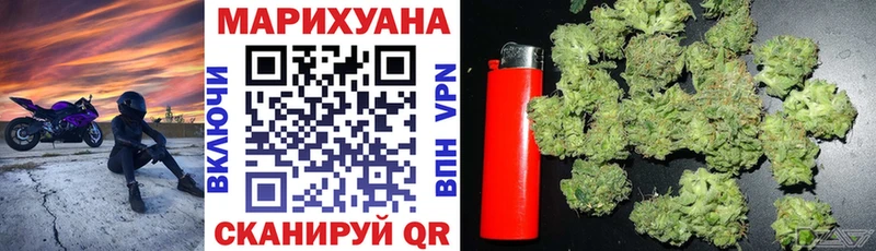 Бошки марихуана план  Грозный 